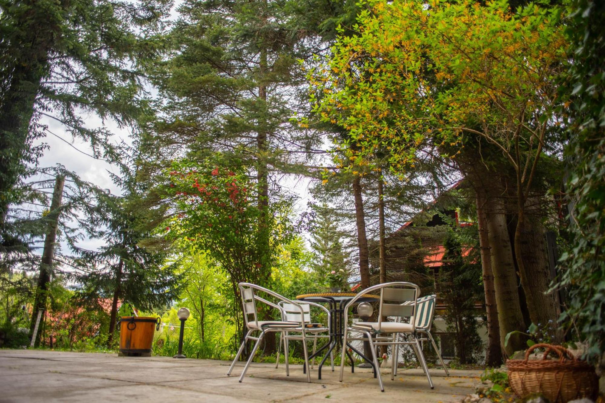 Villa Sara In Sinaia Near Peles & Gondola Экстерьер фото